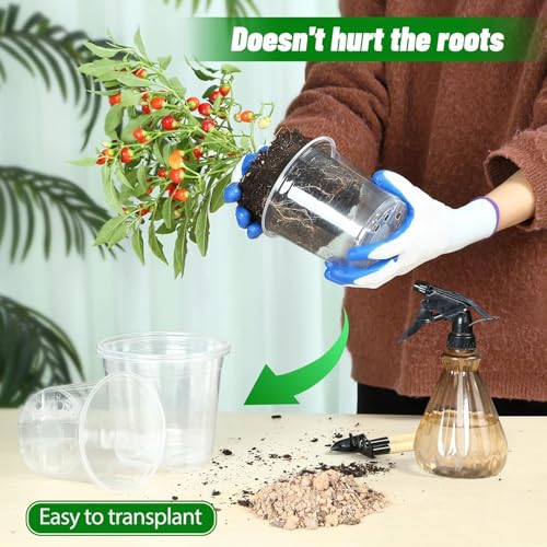 TAQIXI 6/8/10 Inch Large Clear Nursery Pots with Drainage, 24 Pack Plastic Plant Pots for Seedlings Flowers Succulents Vegetable, Indoor Outdoor Gardening (6/8/10 Inch-24Pack) - Image 4