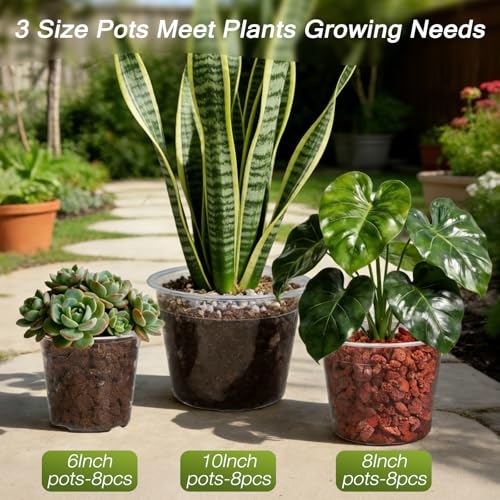 TAQIXI 6/8/10 Inch Large Clear Nursery Pots with Drainage, 24 Pack Plastic Plant Pots for Seedlings Flowers Succulents Vegetable, Indoor Outdoor Gardening (6/8/10 Inch-24Pack) - Image 3