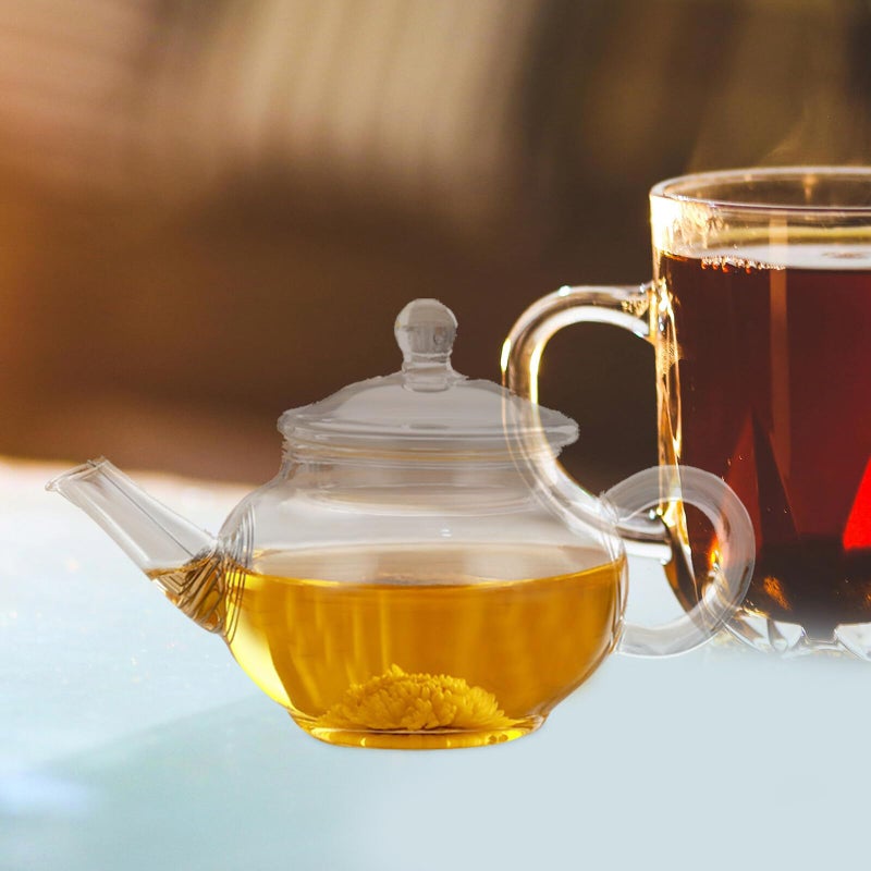 Heat Resistant Borosilicate Glass Tea Pot 250ml with Stainless Steel Filter for Loose Leaf Tea - Image 5
