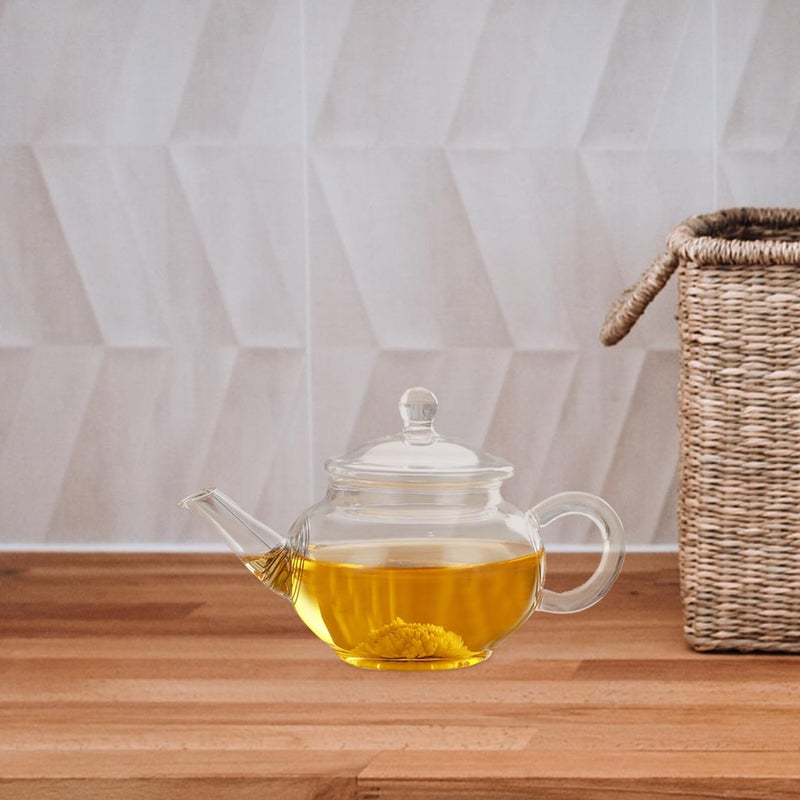 Heat Resistant Borosilicate Glass Tea Pot 250ml with Stainless Steel Filter for Loose Leaf Tea - Image 4