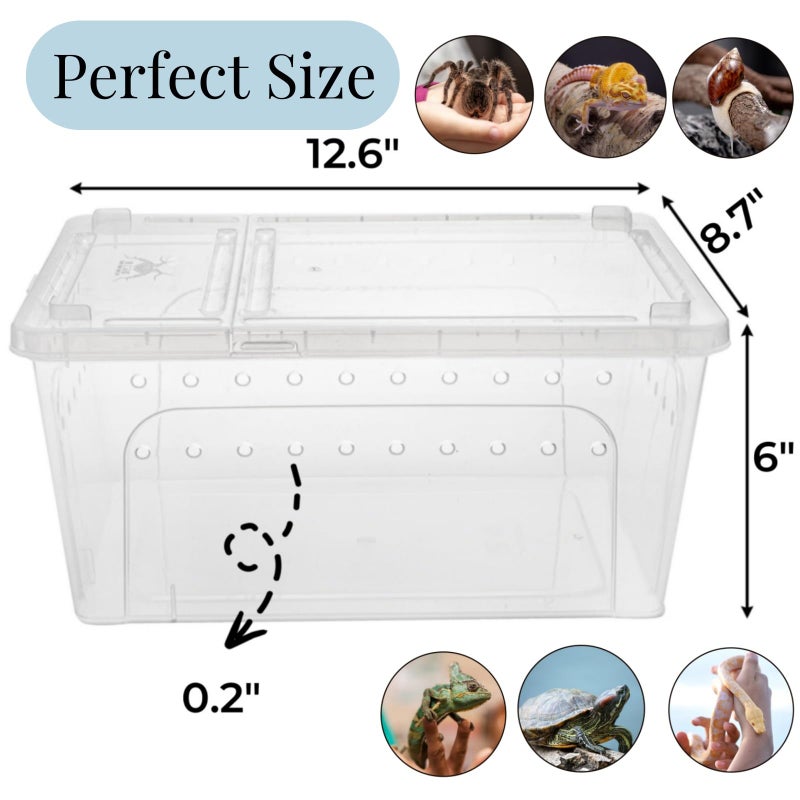 Tlence 2 Pack Reptile Feeding Box, 12.6"x8.7"x6" Transparent Snake Enclosure Terrarium, Plastic Spider Habitat Cage with Feeding Bowl, Small Hatching Container with Ventilated Lid for Lizard Frog - Image 2