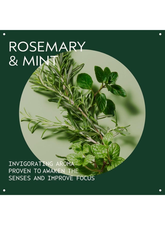افيدا Rosemary Mint Weightless Conditioner | Lightweight Daily Conditioner | Adds Body & Shine| for Normal to Oily Hair, Fine to Medium Hair Types | Color Safe | 97% Naturally Derived - Image 4