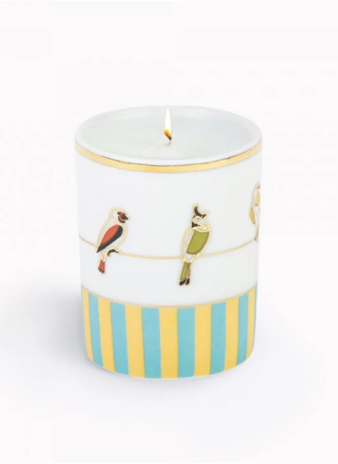 Silsal Sarb Naseem Candle - 60g