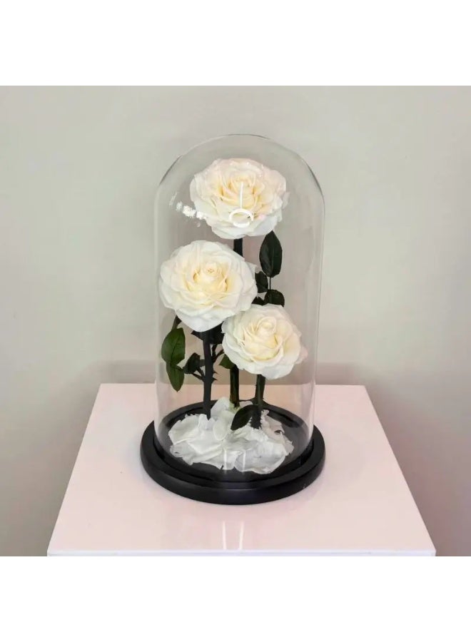 وردة أبدية داخل قبة زجاجية (بيضاء، حجم كبير) – ديكور من 3 ورود بيضاء محفوظة داخل قبة، هدية وردة خالدة لذكرى الزواج، عيد الحب، عيد الأم، أعياد الميلاد، ديكور منزلي رومانسي وتذكار زهري فاخر. - Image 1