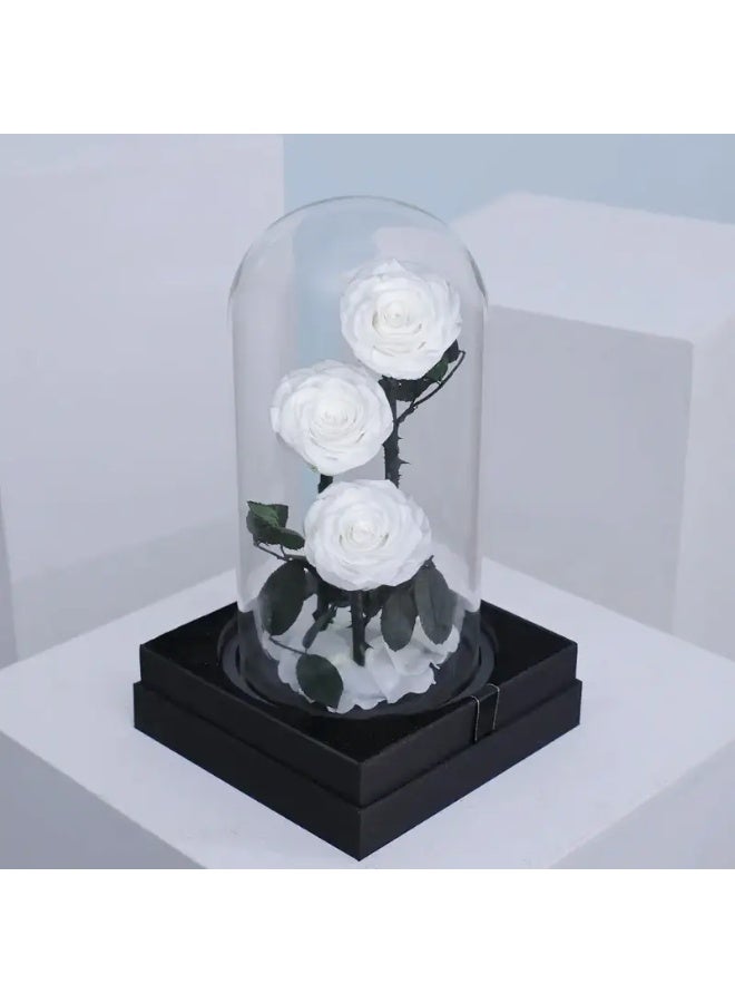 وردة أبدية داخل قبة زجاجية (بيضاء، حجم كبير) – ديكور من 3 ورود بيضاء محفوظة داخل قبة، هدية وردة خالدة لذكرى الزواج، عيد الحب، عيد الأم، أعياد الميلاد، ديكور منزلي رومانسي وتذكار زهري فاخر. - Image 2