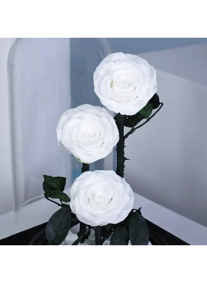 وردة أبدية داخل قبة زجاجية (بيضاء، حجم كبير) – ديكور من 3 ورود بيضاء محفوظة داخل قبة، هدية وردة خالدة لذكرى الزواج، عيد الحب، عيد الأم، أعياد الميلاد، ديكور منزلي رومانسي وتذكار زهري فاخر. - Image 4