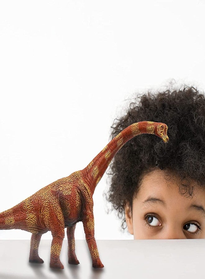 BAREPEPE Realistic T Rex Dinosaur Animal Figure for Kids Real Textured Dinosaurs Toy (Brachiosaurus (14F)) - Image 5