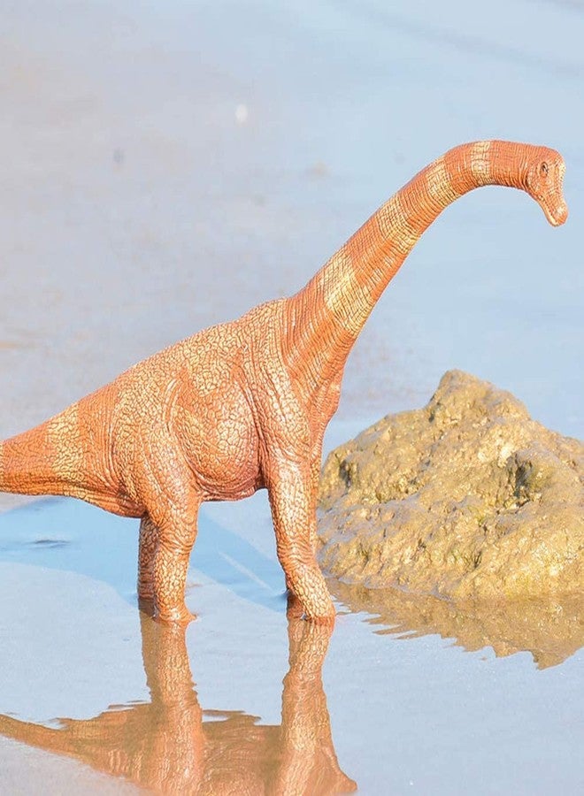 BAREPEPE Realistic T Rex Dinosaur Animal Figure for Kids Real Textured Dinosaurs Toy (Brachiosaurus (14F)) - Image 3