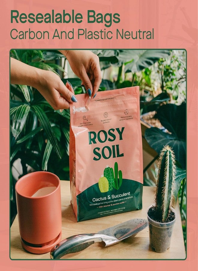 Rosy Soil Cactus and Succulent Organic Potting Soil Mix for House Plants - Fast Draining, Root Boosting, Peat-Free, Less Prone to Gnats - Drought-Tolerant - Growth of Aloe Vera, Cacti and Indoor Succulents- 4qt - Image 5