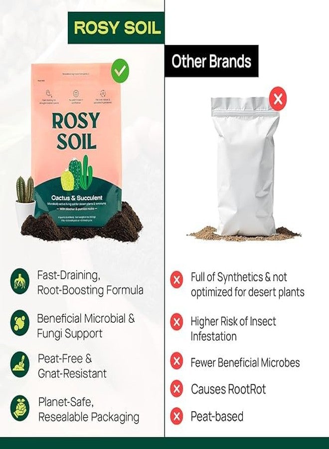 Rosy Soil Cactus and Succulent Organic Potting Soil Mix for House Plants - Fast Draining, Root Boosting, Peat-Free, Less Prone to Gnats - Drought-Tolerant - Growth of Aloe Vera, Cacti and Indoor Succulents- 4qt - Image 3