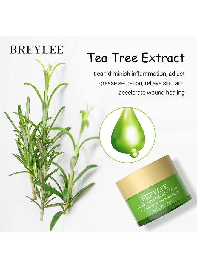 Breylee Acne Treatment Cream, Acne Removal and Acne Pimple Repair Cream, Natural Cystic Acne Treatment, Premium Acne Scar Cream And Pimple Remover 20g - Image 2