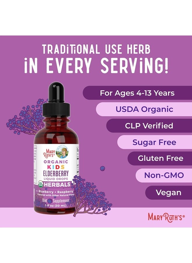 Organic Kids Elderberry Liquid Drops, Blueberry + Raspberry, 30ml - pzsku/ZEB1923B7F9CD0429AD84Z/45/_/1738842545/ed958200-a257-4b8a-85e4-2a432eaeb6c2