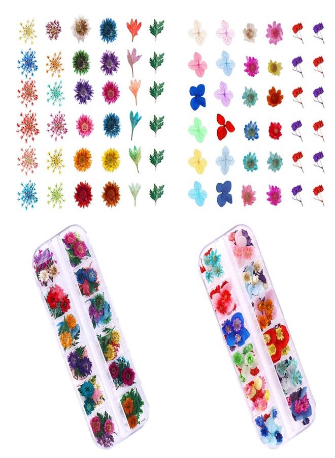 YWLI 216PCS Dried Flowers - Nail Art Accessories Kits, 57 Color Lovely Natural Dried Flowers for Resin Molds and Nails, YWLI - Image 4