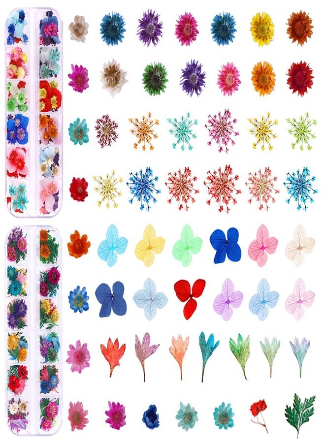 YWLI 216PCS Dried Flowers - Nail Art Accessories Kits, 57 Color Lovely Natural Dried Flowers for Resin Molds and Nails, YWLI - Image 2