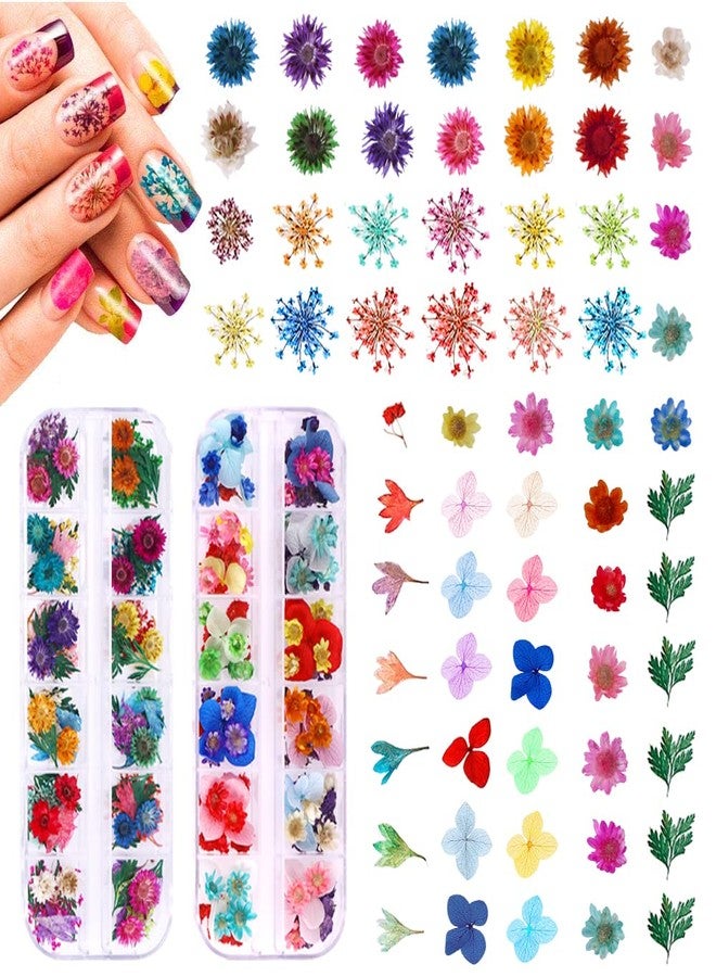 YWLI 216PCS Dried Flowers - Nail Art Accessories Kits, 57 Color Lovely Natural Dried Flowers for Resin Molds and Nails, YWLI - Image 1
