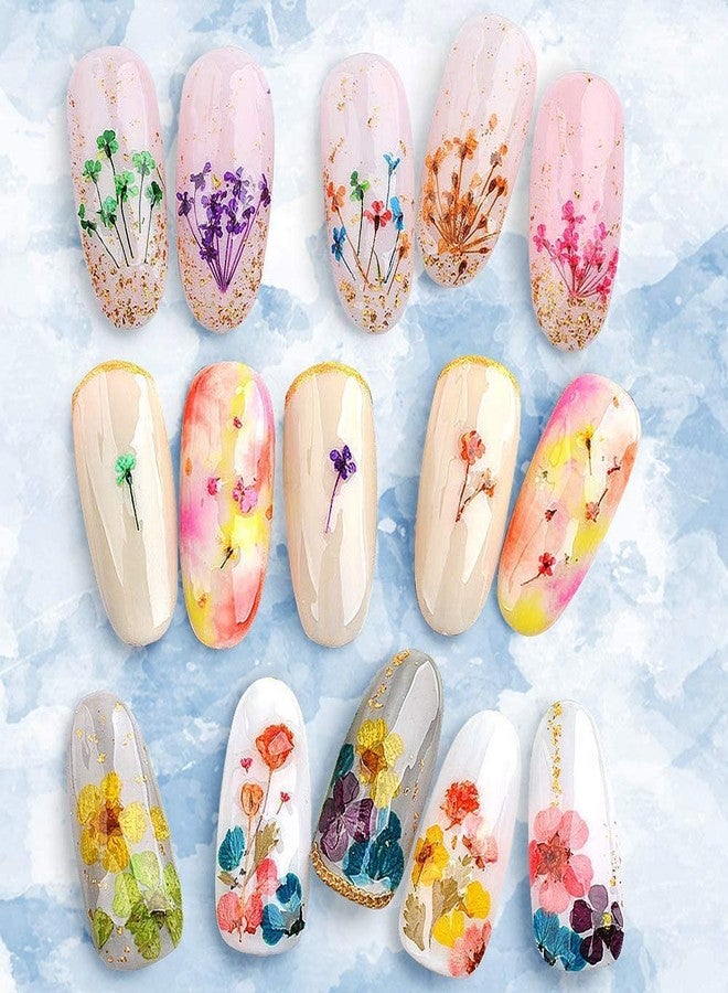 YWLI 216PCS Dried Flowers - Nail Art Accessories Kits, 57 Color Lovely Natural Dried Flowers for Resin Molds and Nails, YWLI - Image 3
