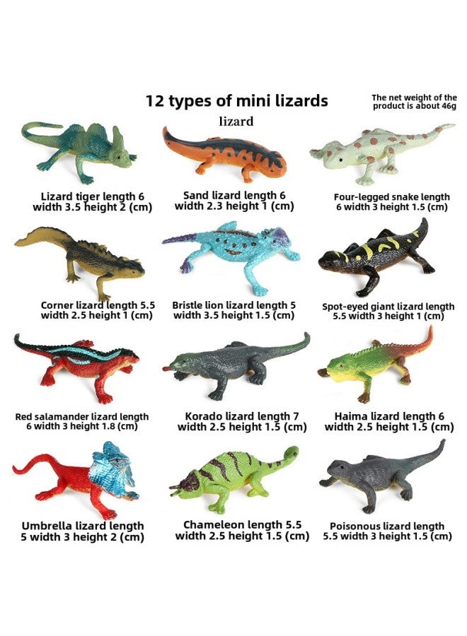 Children's Early Education Simulation Marine Animal Model Dinosaur Toy Birds Insect Sand Table Fleshy Scene Fish Tank Ornaments-Color:DT Solid Mini Lizard 12 Set - Image 1