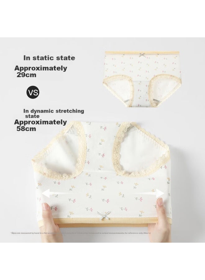 Fenton Fenteng Women'S Underwear 10A Antibacterial Extended Crotch 4-Pack New Pure Cotton Breathable Comfortable Hip-Lifting Women'S Panties - Image 2