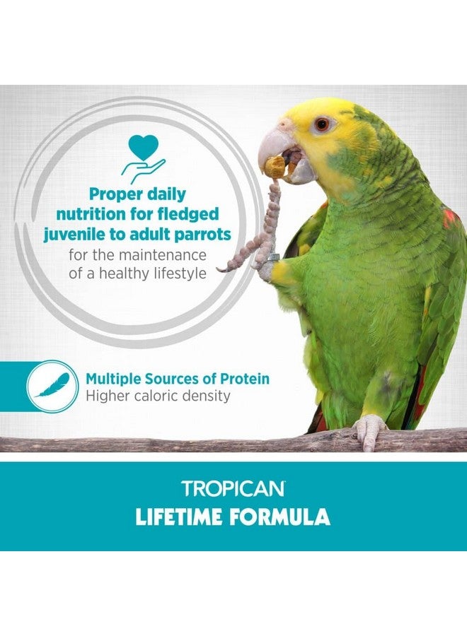 Hari HARI Tropican Bird Food, Hagen Parrot Food with Peanuts & Sunflower Seeds, Maintenance Parrot Granules, Lifetime Formula, 1.8 lb Bag  - Image 3