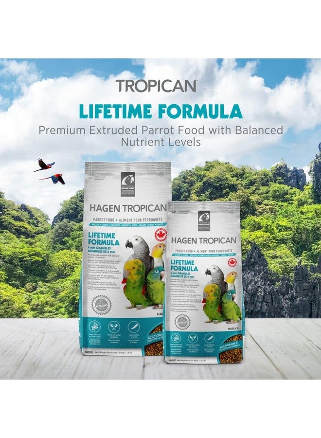 Hari HARI Tropican Bird Food, Hagen Parrot Food with Peanuts & Sunflower Seeds, Maintenance Parrot Granules, Lifetime Formula, 1.8 lb Bag  - Image 2