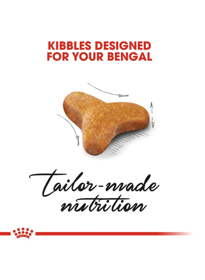 ROYAL CANIN Feline Breed Nutrition Bengal Adult 2 KG - Image 3