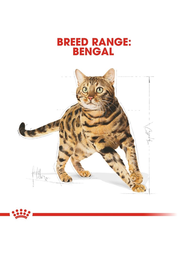 ROYAL CANIN Feline Breed Nutrition Bengal Adult 2 KG - Image 4