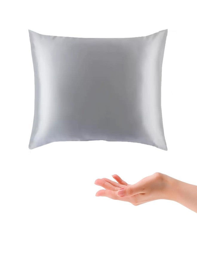 ROSEWARD 100% 22 Momme Mulberry Silk Travel Pillow - 10"x13" Mini Nap Pillow with Organic Cotton Fill & Silk Pillowcase, Hypoallergenic, Made in USA - Soft, Compact & Luxurious (Gray) - Image 1