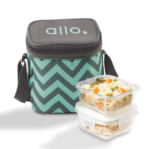 Allo Food Safe Borosilicate Glass Lunch Box, 450C Microwave Safe Lunch Box, Borosilicate Borosilicate Glass Tiffin for Office with Chevron Mint Tiffin Bag, Set of 2, 320ml x 2, Square, Transparent - Image 1