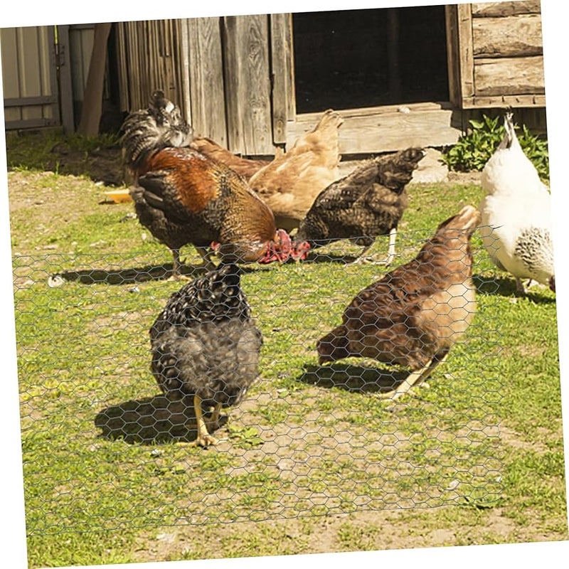 شبكة سلكية دجاجية سداسية مطلية باللون الأخضر لأسوار الدواجن وحماية الحدائق وترتيبات الزهور - Image 5