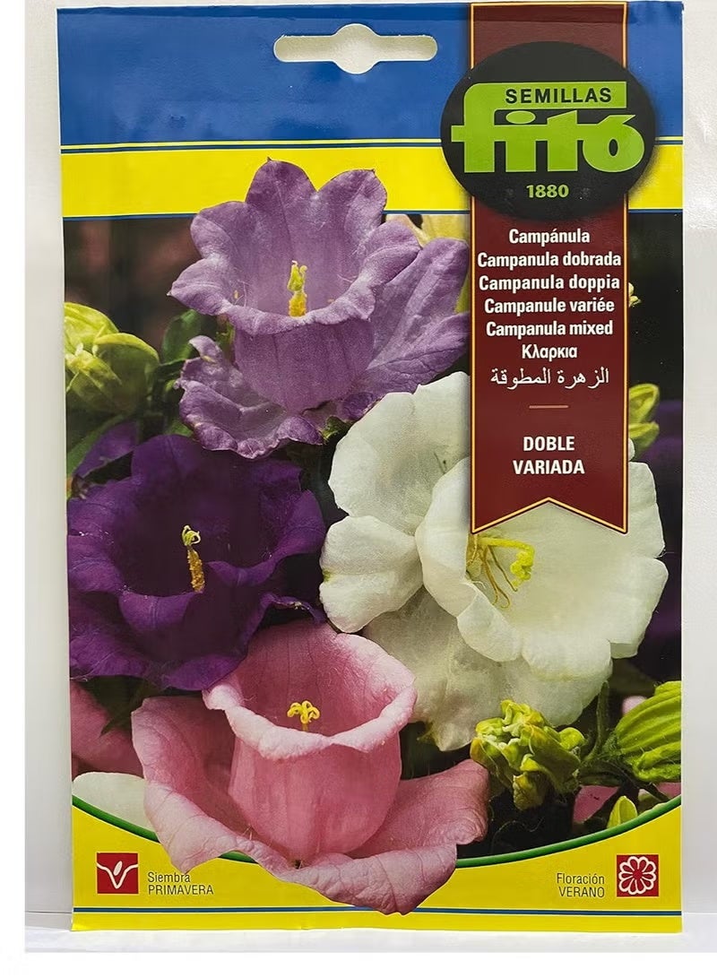 فيتو بذور زهرة متنوعة مزدوجة