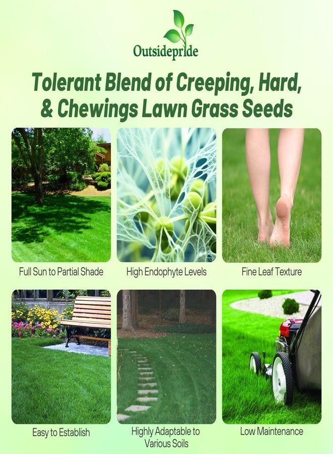 Outsidepride Legacy Fine Fescue Grass Seed Mix - 5 lbs. Shade & Sun Tolerant Blend of Hard Fescue, Chewings Fescue & Creeping Red Fescue with OptiGrowth Coating for Better Establishment - Image 2