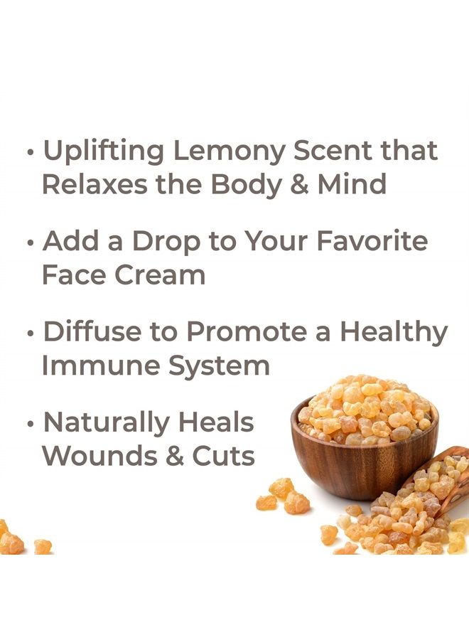 Plant Therapy Organic Frankincense Frereana Essential Oil 100% Pure, USDA Certified Organic, Undiluted, Natural Aromatherapy, Therapeutic Grade 30 mL (1 oz) - Image 1