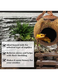 SunGrow Leopard Gecko Coconut Husk Hut With Ladder, With Shell Opening, Cave Habitat With Hanging Loop, 1 Pc Per Pack  - Image 3