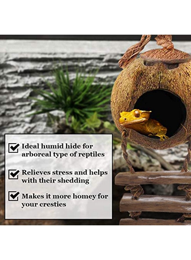 SunGrow Leopard Gecko Coconut Husk Hut With Ladder, With Shell Opening, Cave Habitat With Hanging Loop, 1 Pc Per Pack  - Image 3