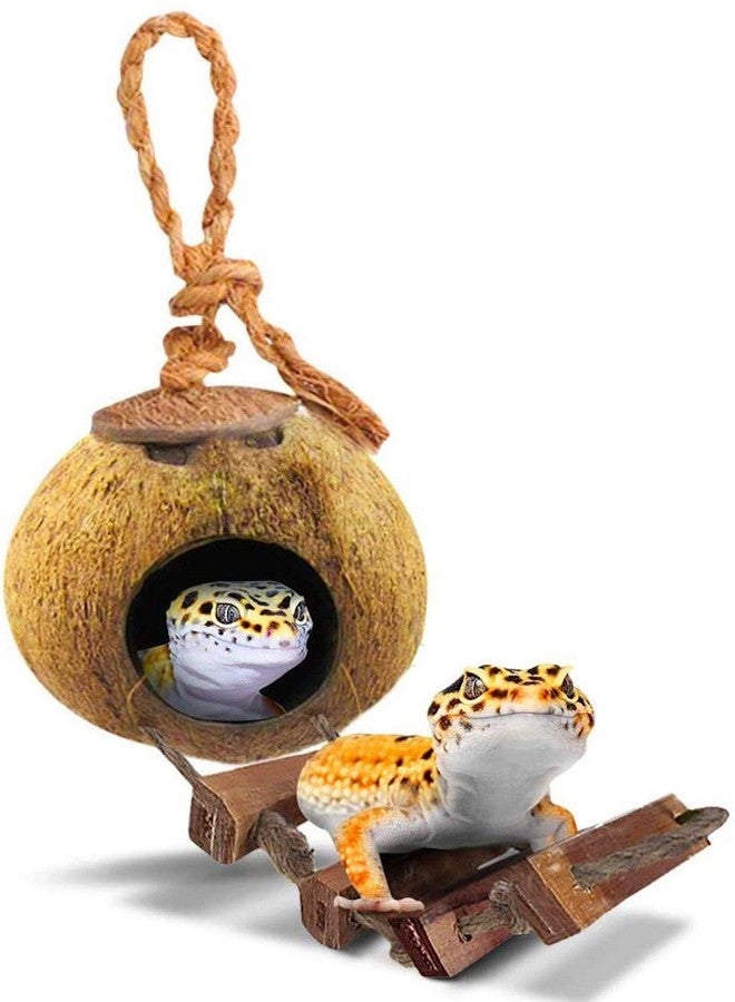 SunGrow Leopard Gecko Coconut Husk Hut With Ladder, With Shell Opening, Cave Habitat With Hanging Loop, 1 Pc Per Pack  - Image 1
