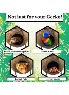 SunGrow Leopard Gecko Coconut Husk Hut With Ladder, With Shell Opening, Cave Habitat With Hanging Loop, 1 Pc Per Pack  - Image 4