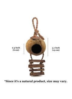 SunGrow Leopard Gecko Coconut Husk Hut With Ladder, With Shell Opening, Cave Habitat With Hanging Loop, 1 Pc Per Pack  - Image 5