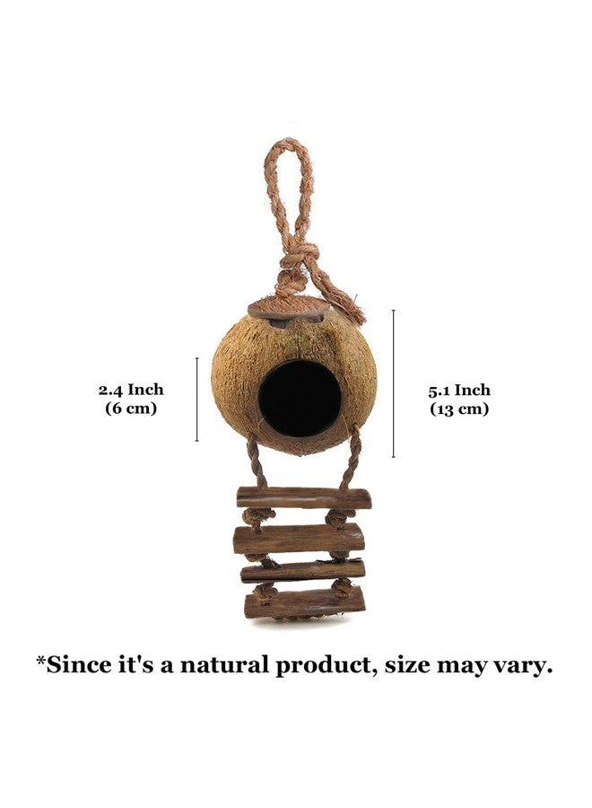 SunGrow Leopard Gecko Coconut Husk Hut With Ladder, With Shell Opening, Cave Habitat With Hanging Loop, 1 Pc Per Pack  - Image 5