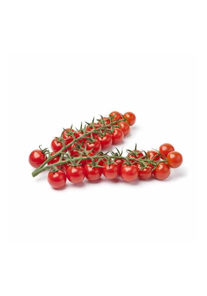 Cherry Tomatoes, on Vine - 4 to 5 bunches, UAE