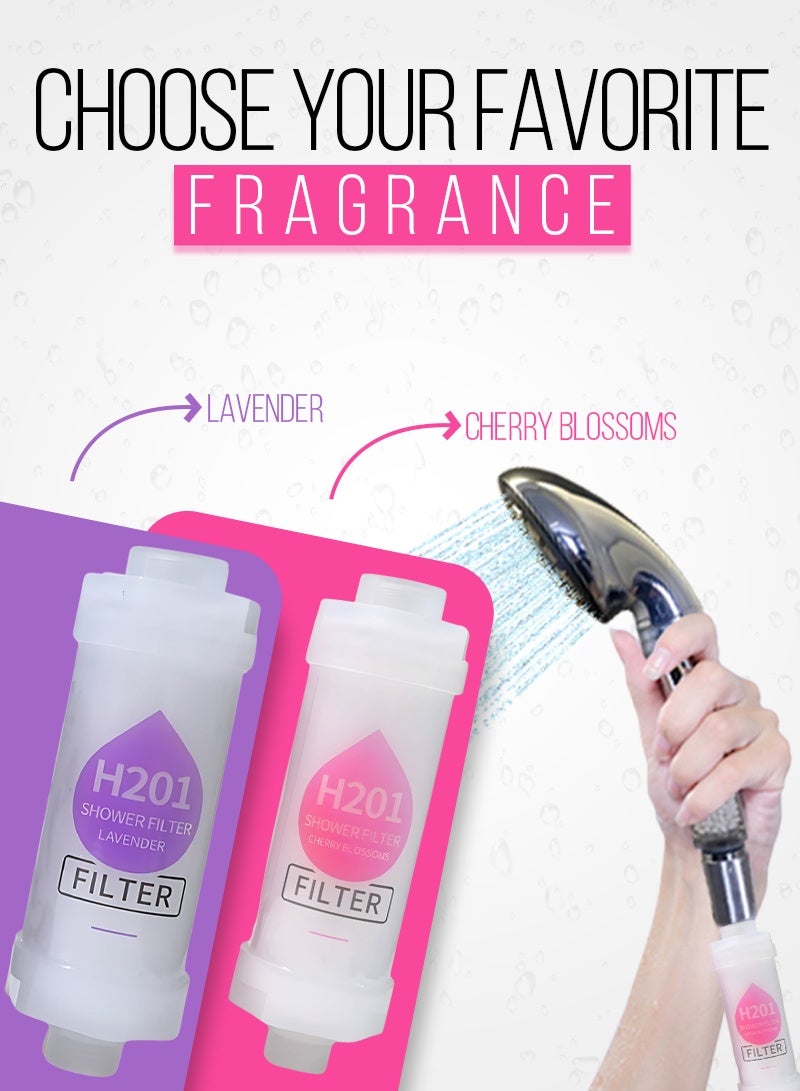 أيه بي جي مجموعة فلتر دش بفيتامين C (قطعتان) – فلتر رأس الدش ومنقّي للمياه، يزيل الكلور والفلوريد، يساعد على علاج جفاف البشرة وقشرة الرأس وتساقط الشعر (لافندر + زهر الكرز) - Image 2