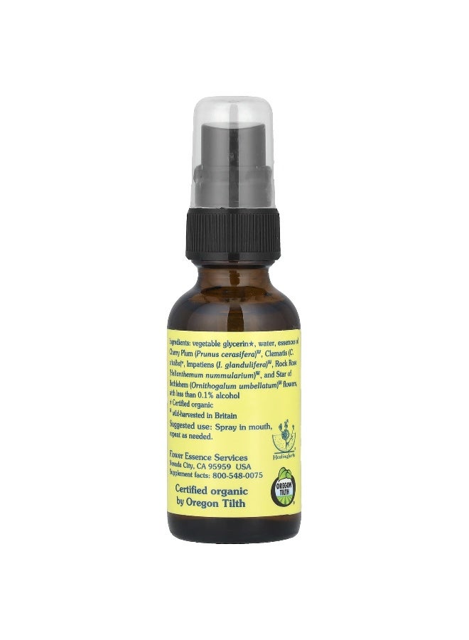 Flower Essence Services خدمات جوهر الزهور، تركيبة الزهور الخمسة™، رذاذ جوهر الزهور، غير كحولي، 1 أونصة سائلة (30 مل) - Image 2