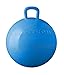 Hedstrom Blue 15 Hopper Ball - Image 3