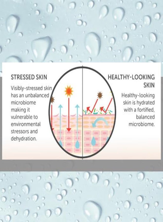 Consult Beaute Microbiome Face Serum Concentrate Pre & Probiotic Moisturizes and Balances Facial Skin Barrier 1 Fl Oz - Image 5