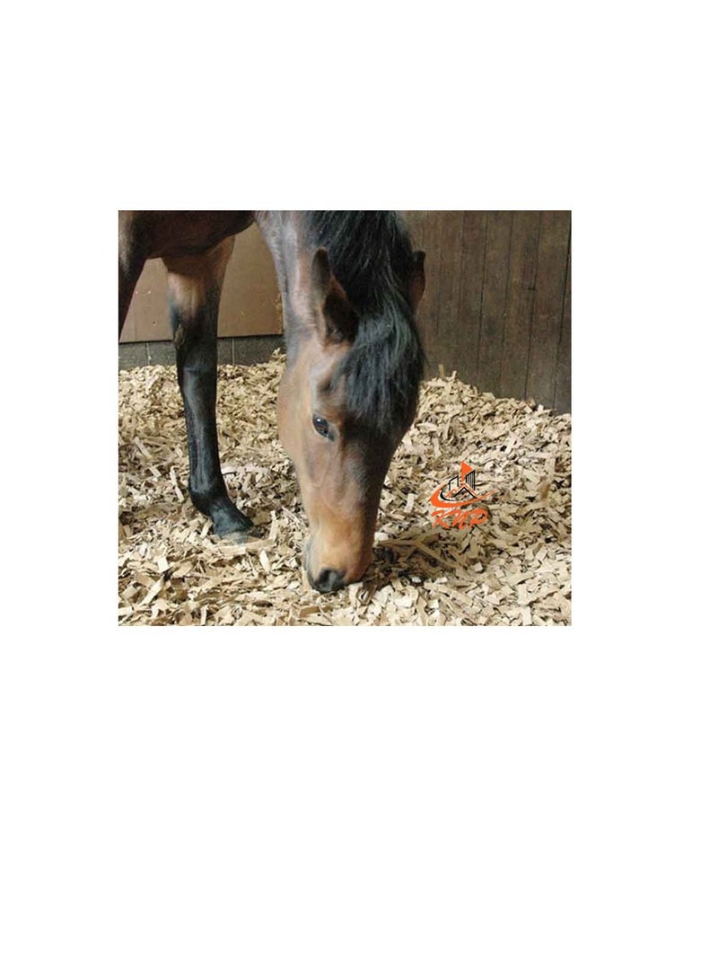 KNP Pine Flakes or Shavings Horse Bedding 14KG 5 bags - Image 3