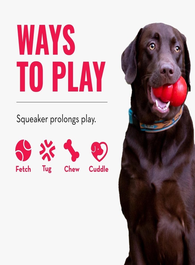 KONG Scrumplez Dog Toy - Soft Plush Squeaker Toy for Interactive Play, Stuffed with Extra-Squeaky Fun, Durable and Engaging for Dogs (Gray Koala) - Image 4