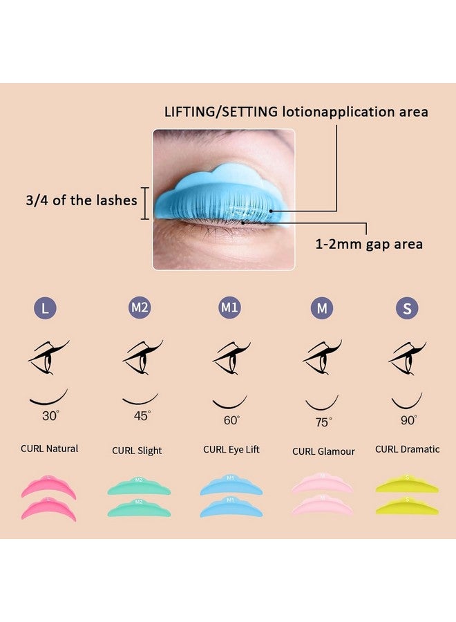 Libeauty Lash Lift and Color Kit Brow Lamination Kit with Black Color Quick Lifting Perming & Voluminous Coloring with Complete Tools DIY Eyelash Perm Use at Home & Salon Supplies - Image 5