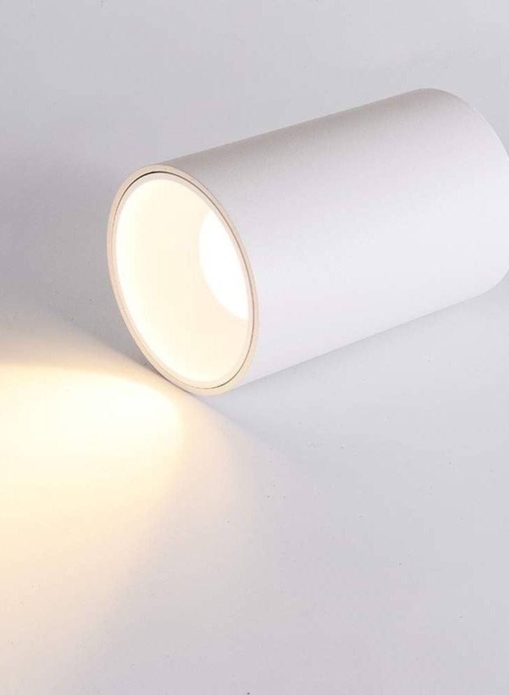 تارجت ضوء سبوت LED حديث 12 وات أبيض - Image 2