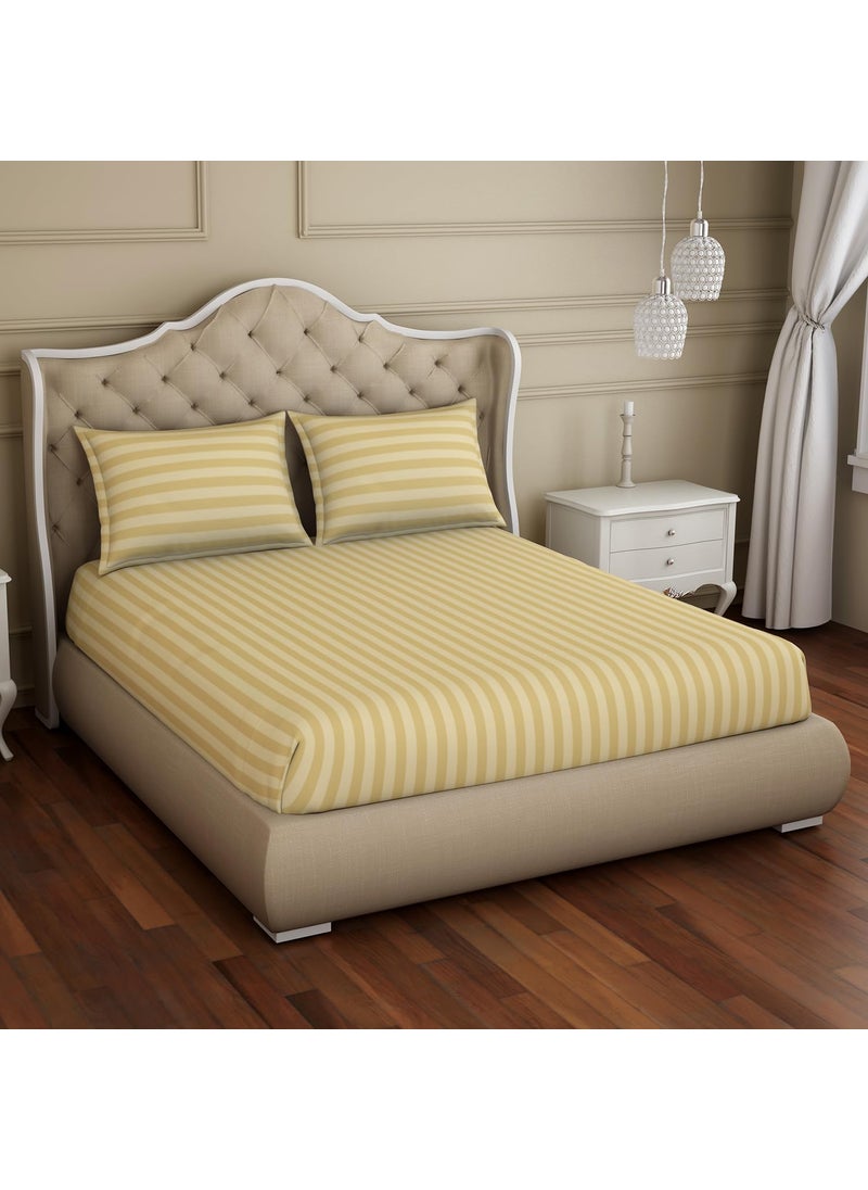 SPACES Spaces 100% Cotton King (183Cmx198Cm+30Cm/43Cmx68Cm) | 210 Tc Dobby Stripe Fitted Sheet (Beige)- Skyrise  - Image 1