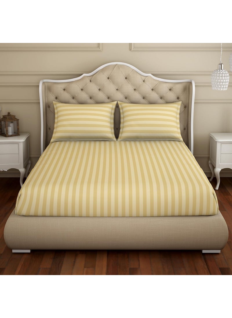 SPACES Spaces 100% Cotton King (183Cmx198Cm+30Cm/43Cmx68Cm) | 210 Tc Dobby Stripe Fitted Sheet (Beige)- Skyrise  - Image 2