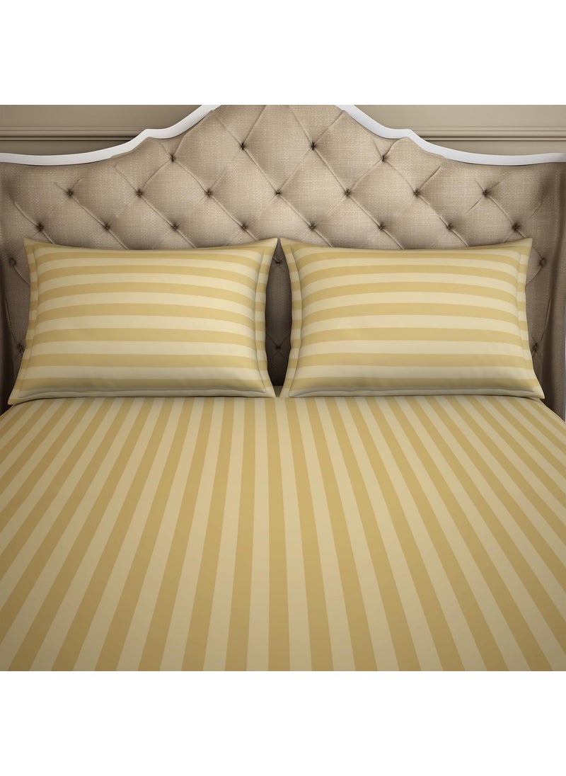 SPACES Spaces 100% Cotton King (183Cmx198Cm+30Cm/43Cmx68Cm) | 210 Tc Dobby Stripe Fitted Sheet (Beige)- Skyrise  - Image 3